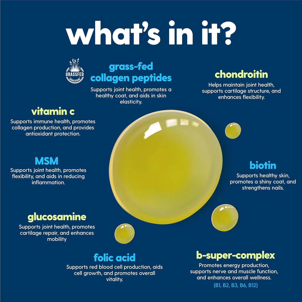 TAILY - Taily Multivitamin with Liquid Collagen for Dogs and Cats 4 Fl.Oz. - The Red Vitamin MX - Multivitamínicos Para Perros - {{ shop.shopifyCountryName }}