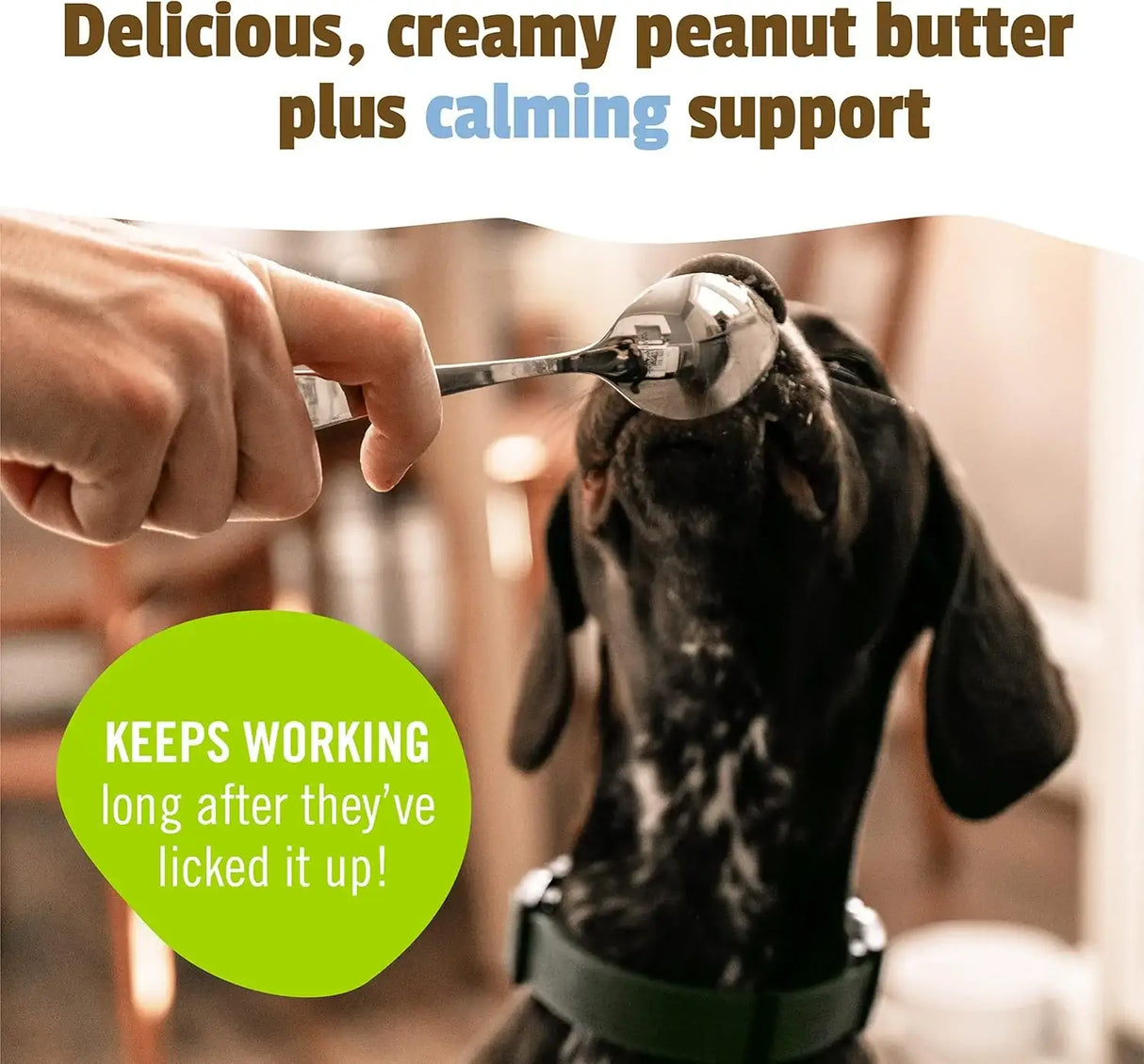 PET NATURALS - Pet Naturals BusyButter Easy Squeeze Calming Peanut Butter for Dogs 170Gr. - The Red Vitamin MX - Relajantes Para Perros - {{ shop.shopifyCountryName }}
