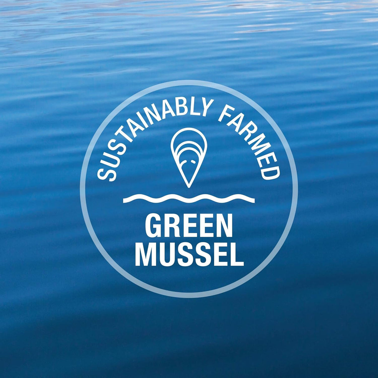 K9 NATURAL - K9 Natural Grain Free Freeze Dried Dog Treats 50Gr. - The Red Vitamin MX - Suplementos Herbales Para Perros - {{ shop.shopifyCountryName }}