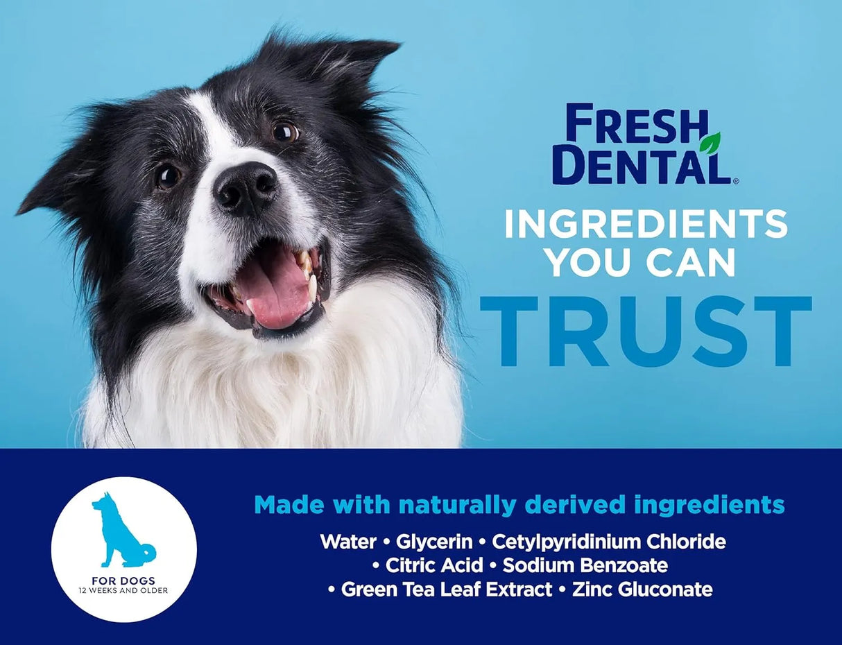 NATUREL PROMISE - Naturel Promise Fresh Dental Water Additive for Dogs 533Ml. - The Red Vitamin MX - Cuidado Dental Para Perros - {{ shop.shopifyCountryName }}