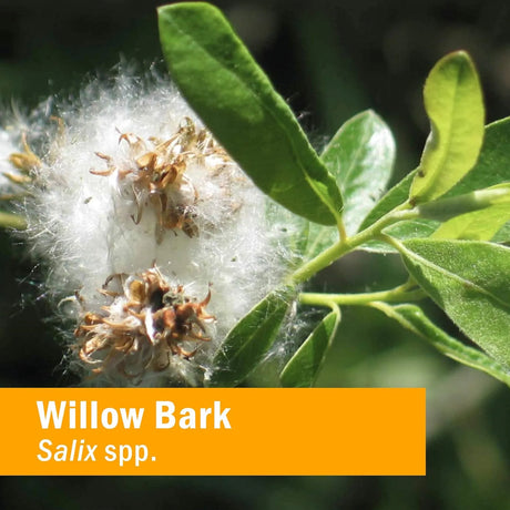 HERB PHARM - Herb Pharm Willow Bark Liquid Extract 1 Fl.Oz. 2 Pack - The Red Vitamin MX - Suplementos Alimenticios - {{ shop.shopifyCountryName }}