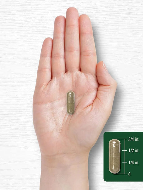 CARLYLE - Carlyle Chanca Piedra 200 Capsulas - The Red Vitamin MX - Suplementos Alimenticios - {{ shop.shopifyCountryName }}