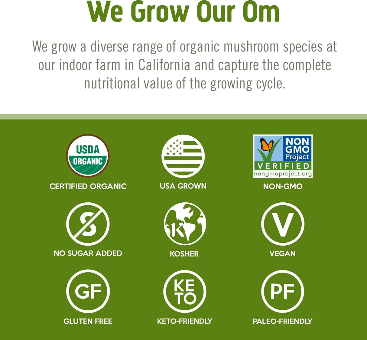 OM - Om Mushroom Superfood Reishi Organic Mushroom Powder 100Gr. - The Red Vitamin MX - Suplementos Alimenticios - {{ shop.shopifyCountryName }}