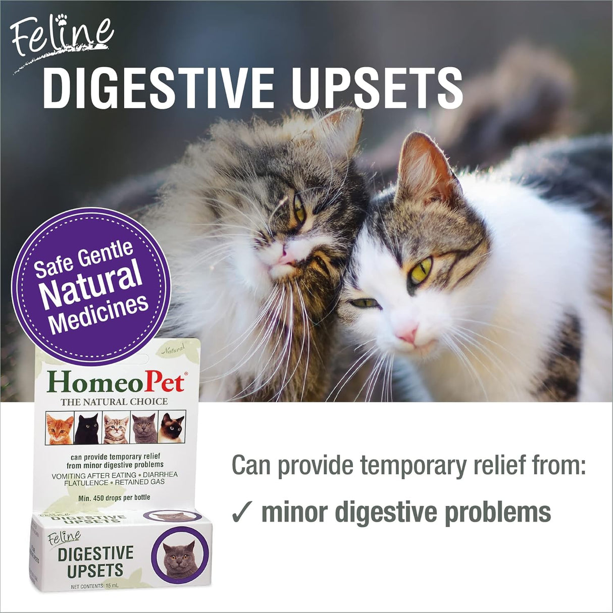 HomeoPet Feline Digestive Upsets 15Ml.