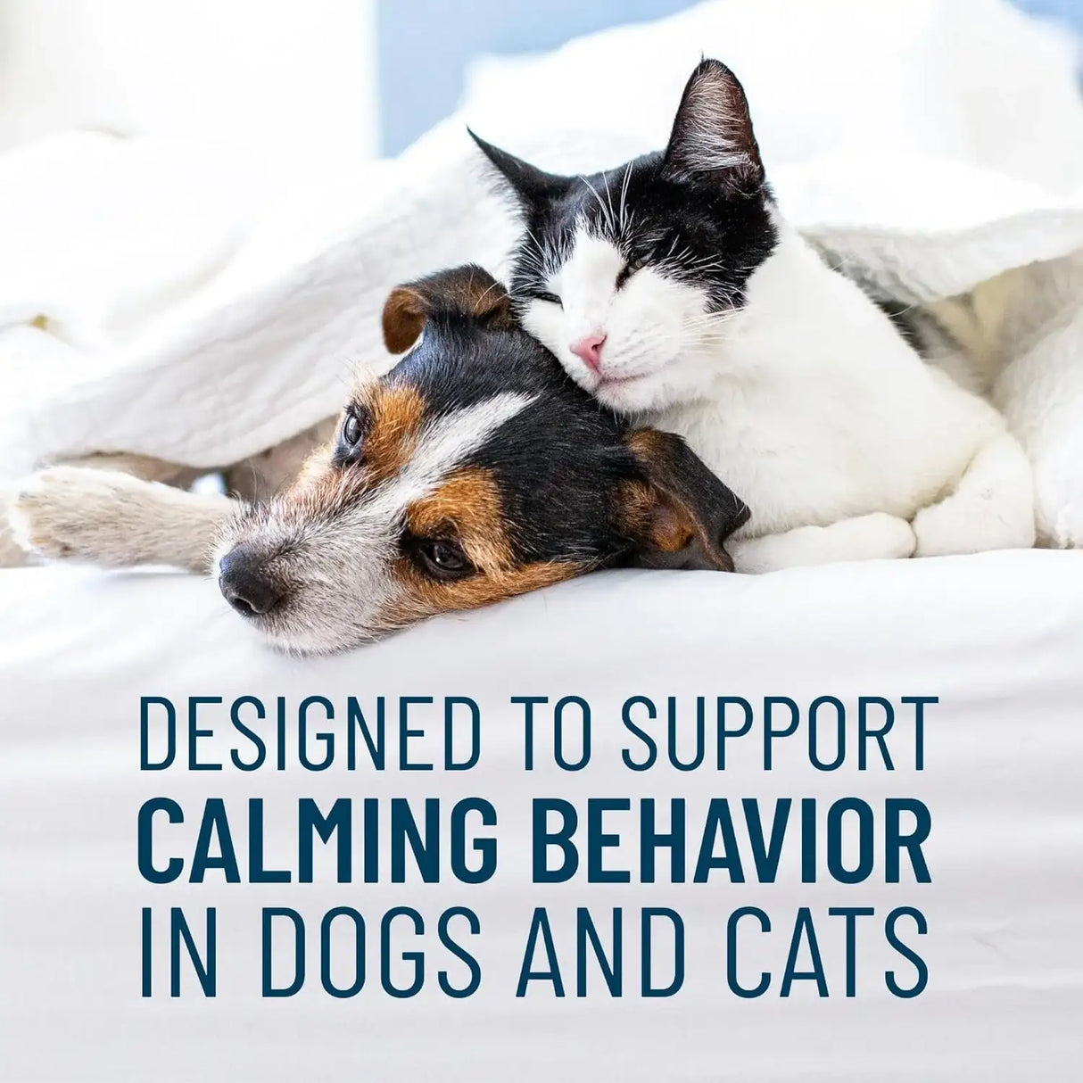 NUTRAMAX - Nutramax Solliquin Calming Behavioral Health Supplement for Small to Medium Dogs and Cats 75 Masticables - The Red Vitamin MX - Relajantes Para Perros - {{ shop.shopifyCountryName }}