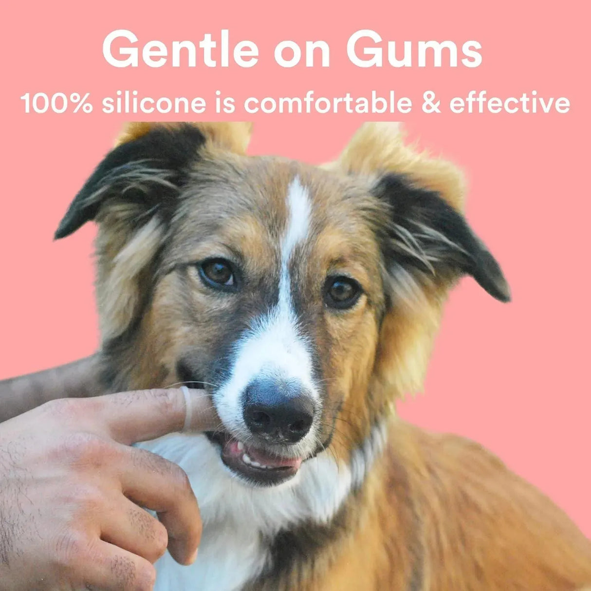 JASPER - Jasper 360º Dog Toothbrush 4-Pack Clear - The Red Vitamin MX - Cuidado Dental Para Perros - {{ shop.shopifyCountryName }}