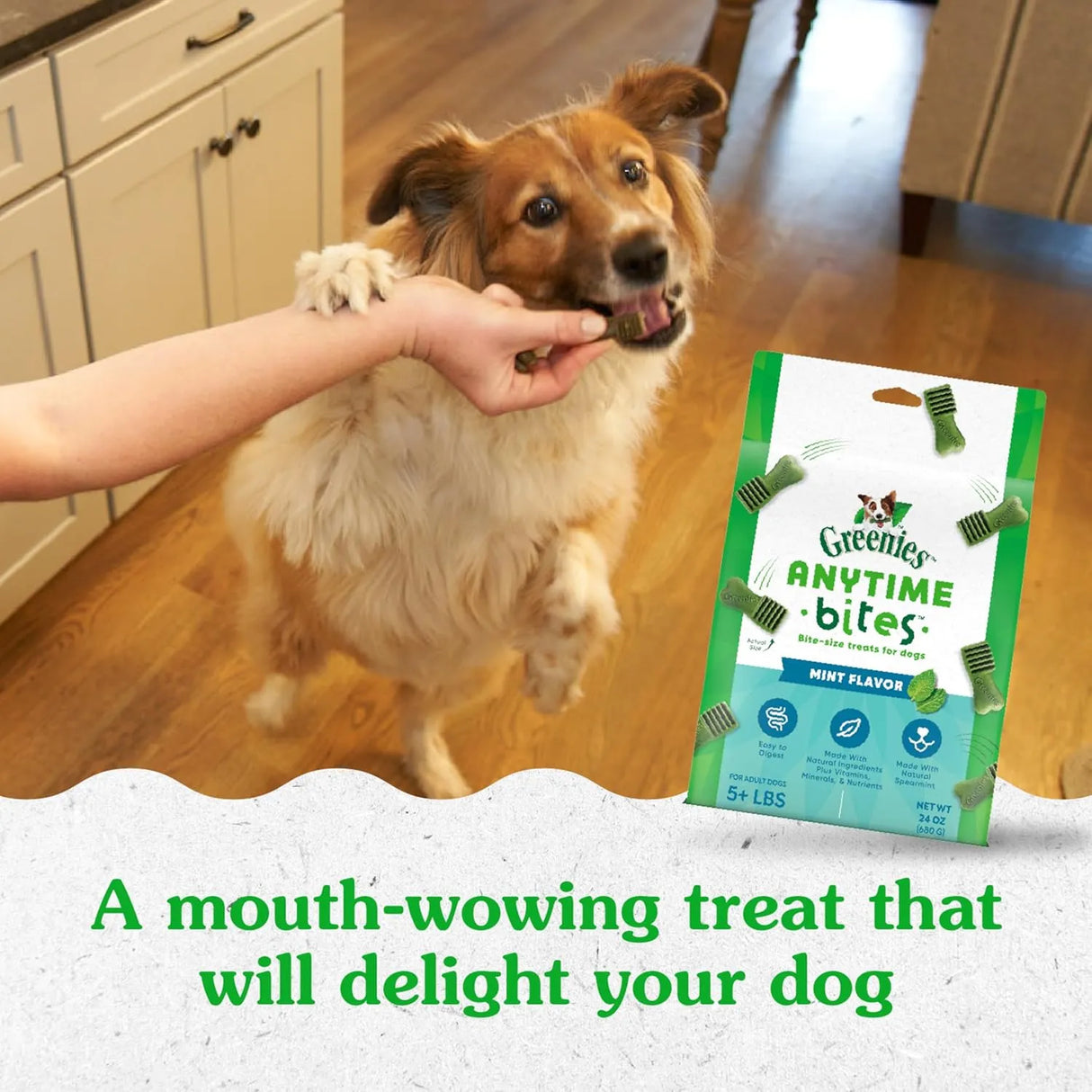 GREENIES - Greenies Anytime Bites Dog Treats Mint Flavor 680Gr. - The Red Vitamin MX - Cuidado Dental Para Perros - {{ shop.shopifyCountryName }}