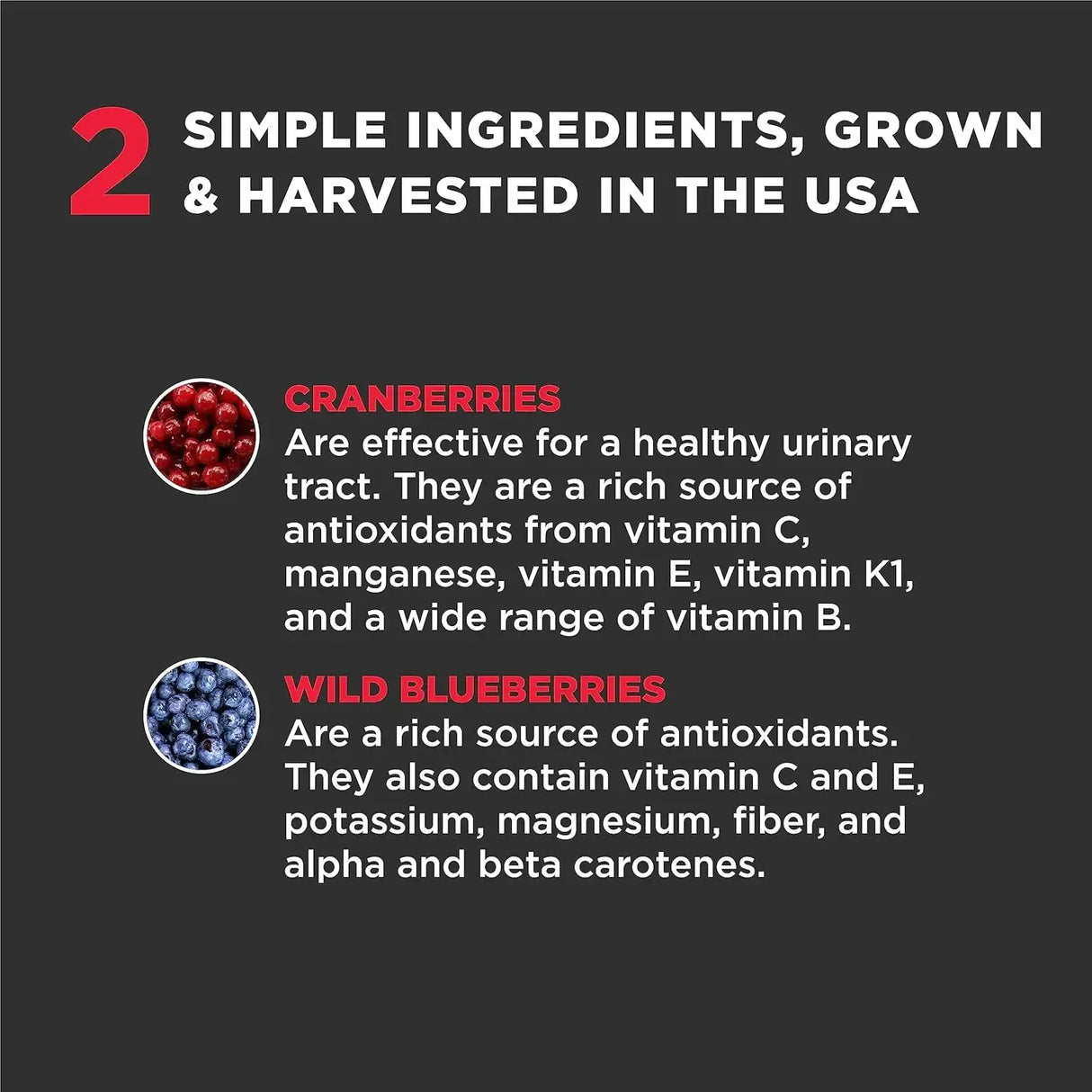 SUPER SNOUTS - Super Snouts Urinary Berry Urinary Tract Supplements for Dogs & Cats 75Gr. - The Red Vitamin MX - Salud De Tracto Urinario Para Perros - {{ shop.shopifyCountryName }}