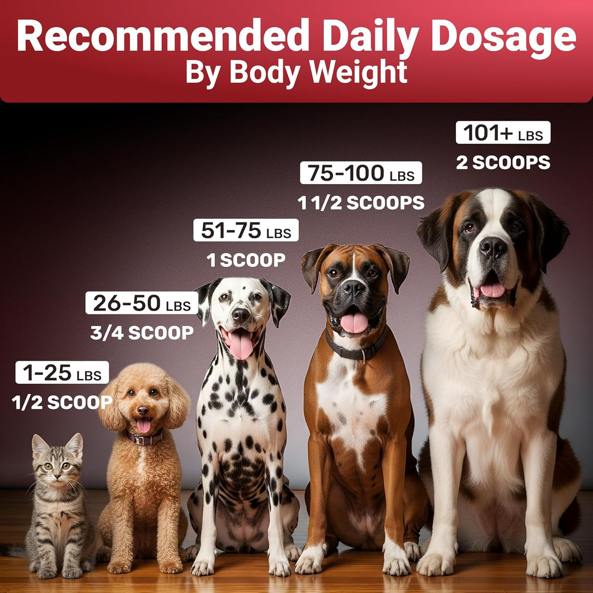 WUFFWELL - WuffWell Seven Mushrooms Powder with Vitamin C 30 Servicios 54Gr. - The Red Vitamin MX - Suplementos Herbales Para Perros - {{ shop.shopifyCountryName }}