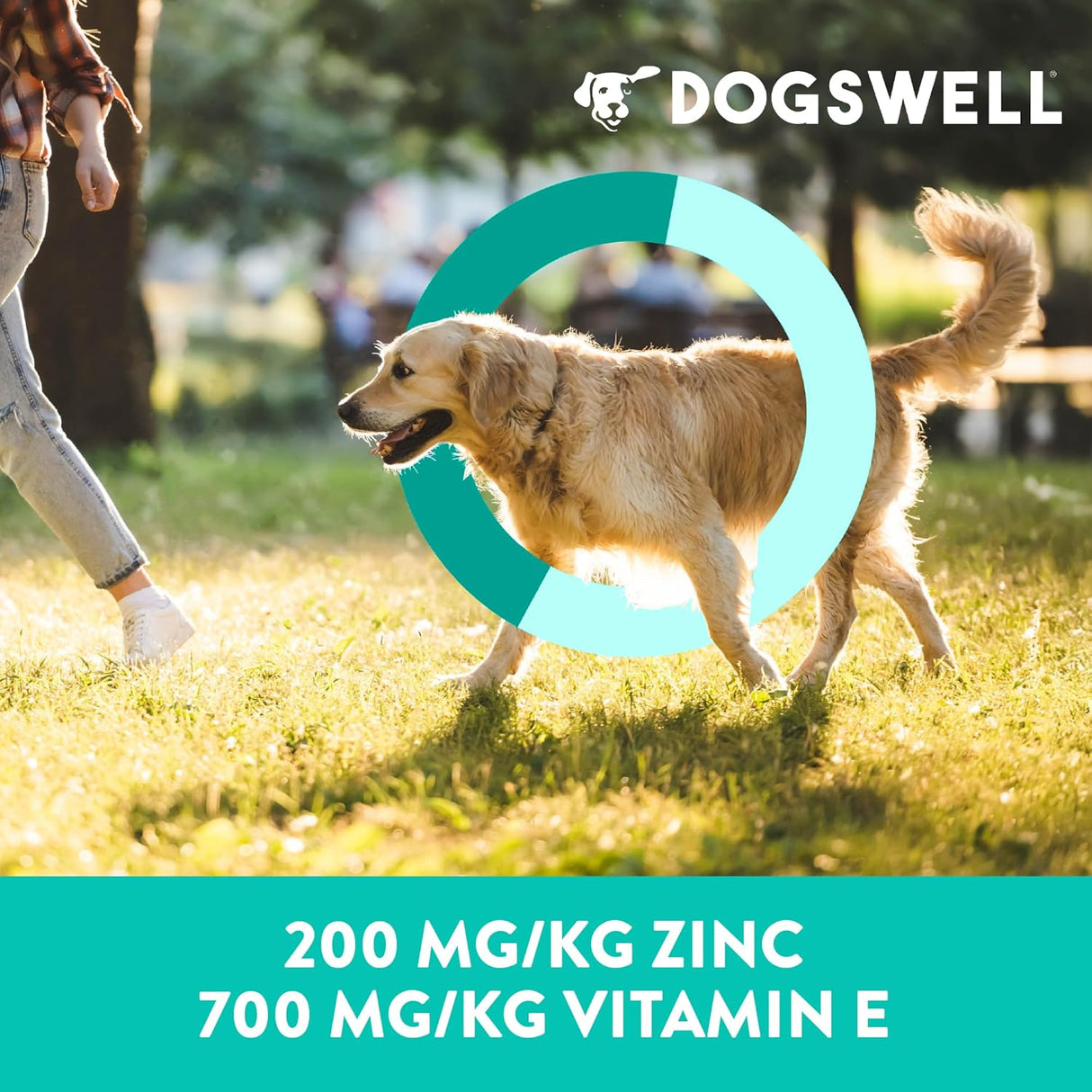 Dogswell Skin & Coat Mini Jerky Dog Treats Salmon 510Gr.