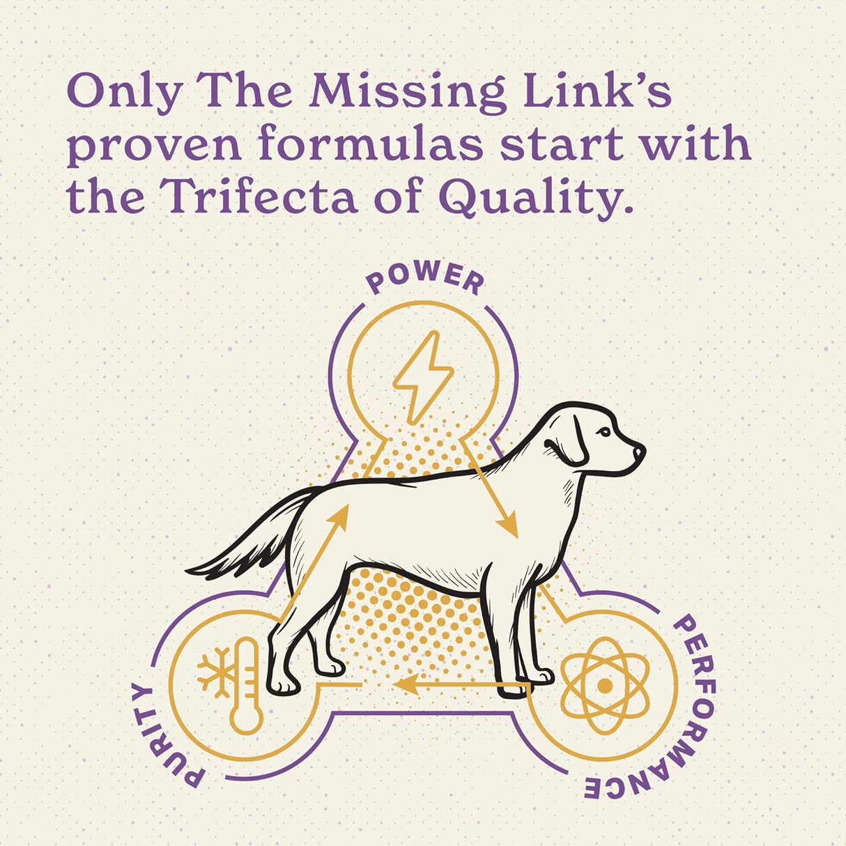 The Missing Link Senior Dog Supplement 454Gr. 2 Pack