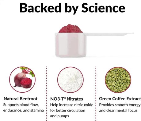 FORCE FACTOR - FORCE FACTOR Total Beets Pre-Workout Powder Fruit Punch 30 Servicios 354Gr. - The Red Vitamin MX - Suplementos Alimenticios - {{ shop.shopifyCountryName }}