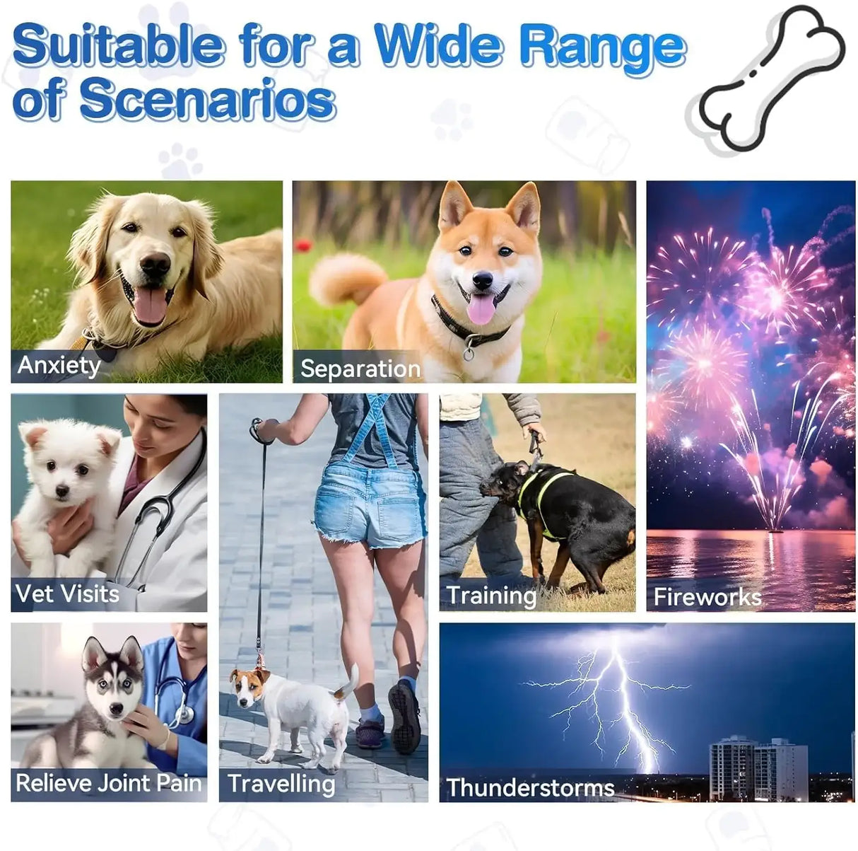 COLEAZE - ColEaze Dog Calming Chews Chicken 200 Masticables - The Red Vitamin MX - Relajantes Para Perros - {{ shop.shopifyCountryName }}