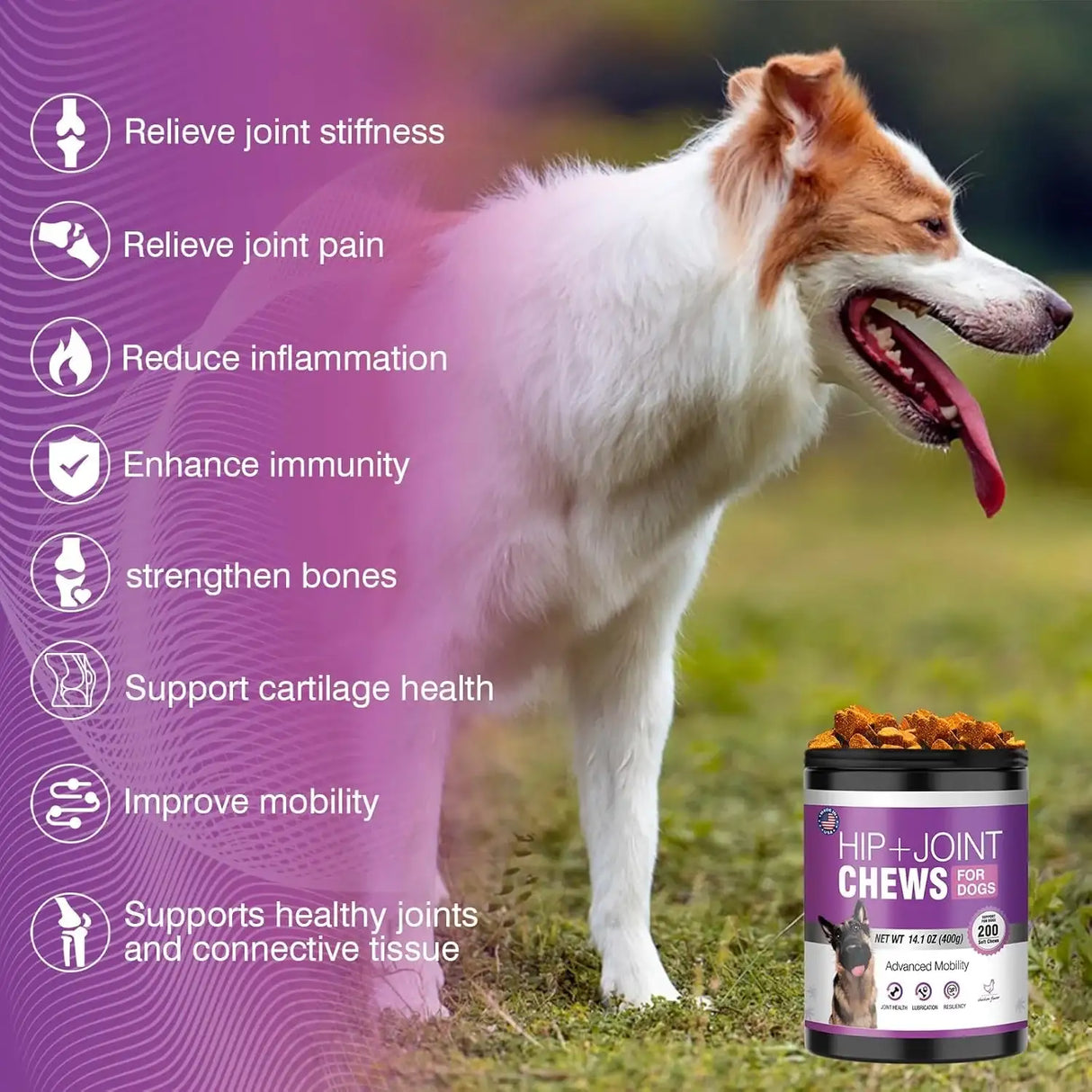 TTLXRL - TTLXRL Hip and Joint Glucosamine for Dogs 200 Masticables - The Red Vitamin MX - Cuidado De Cadera Y Articulaciones Para Perros - {{ shop.shopifyCountryName }}