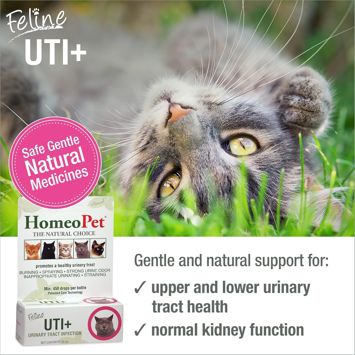 HomeoPet Feline UTI Plus Safe and Natural Urinary Tract Supplement for Cats 15Ml.
