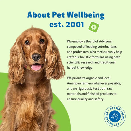 PET WELLBEING - Pet Wellbeing Milk Thistle for Dogs 2 Fl.Oz. - The Red Vitamin MX - Medicamentos Sin Receta Para Perros - {{ shop.shopifyCountryName }}