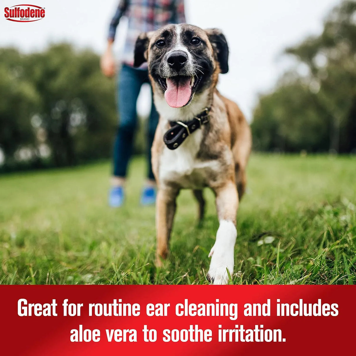 SULFODENE - Sulfodene Ear Cleaner for Dogs & Cats 4 Fl.Oz. - The Red Vitamin MX - Cuidado Del Oído De Perros - {{ shop.shopifyCountryName }}