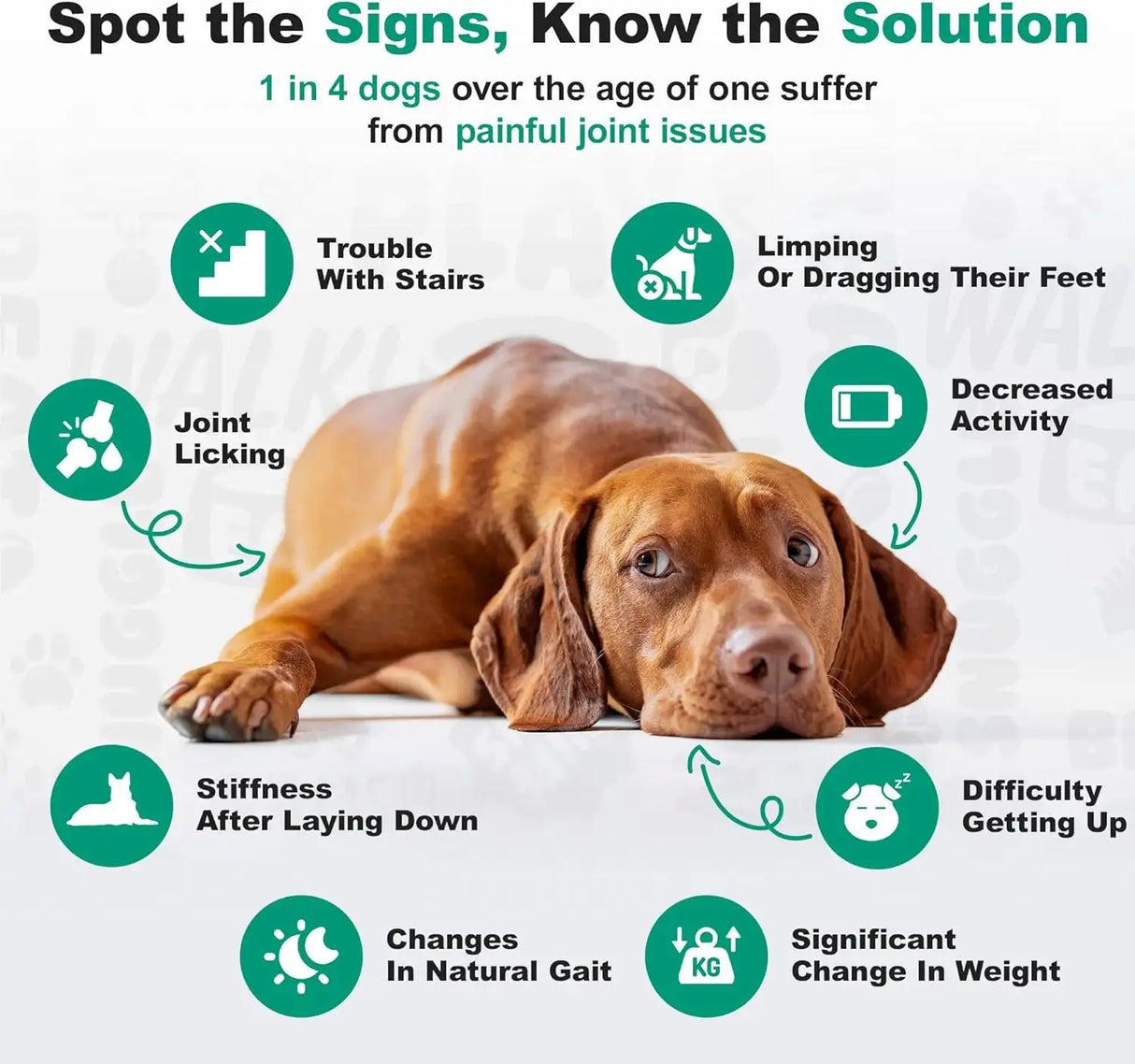 DOGGIE DAILIES - Doggie Dailies Daily Joint Care Glucosamine for Dogs Peanut Butter 225 Masticables - The Red Vitamin MX - Cuidado De Cadera Y Articulaciones Para Perros - {{ shop.shopifyCountryName }}