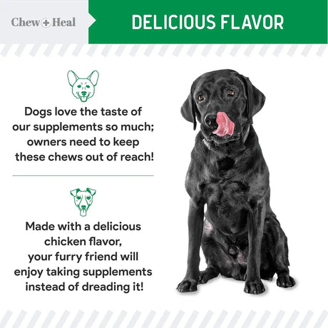 CHEW + HEAL - Chew + Heal Labs Dog Urine Neutralizer for Lawn 120 Masticables 2 Pack - The Red Vitamin MX - Salud De Tracto Urinario Para Perros - {{ shop.shopifyCountryName }}