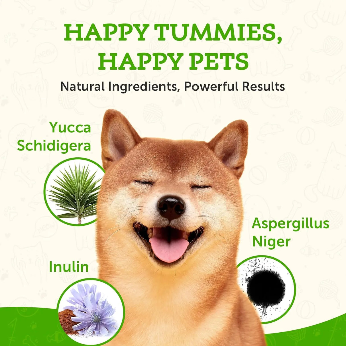 ANIMAL ESSENTIALS - Animal Essentials Plant Enzyme & Probiotics for Dogs & Cats 300Gr. - The Red Vitamin MX - Probióticos Para Perros - {{ shop.shopifyCountryName }}