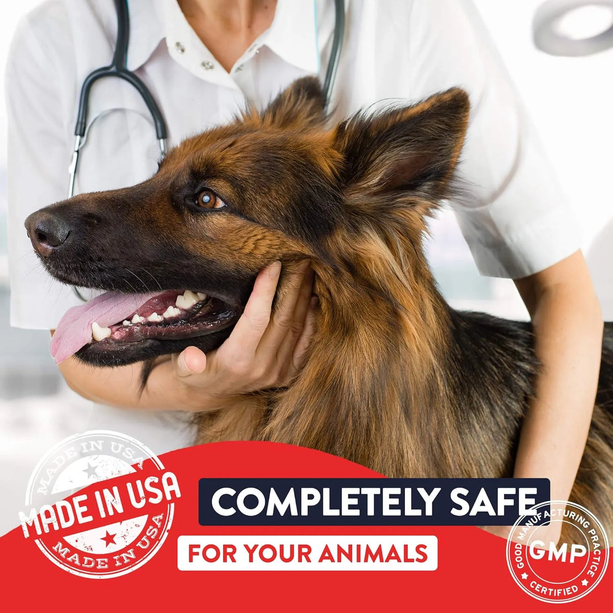 GENEFLORA - Geneflora Digestive Enzymes and Probiotics for Dogs 125Gr. - The Red Vitamin MX - Probióticos Para Perros - {{ shop.shopifyCountryName }}