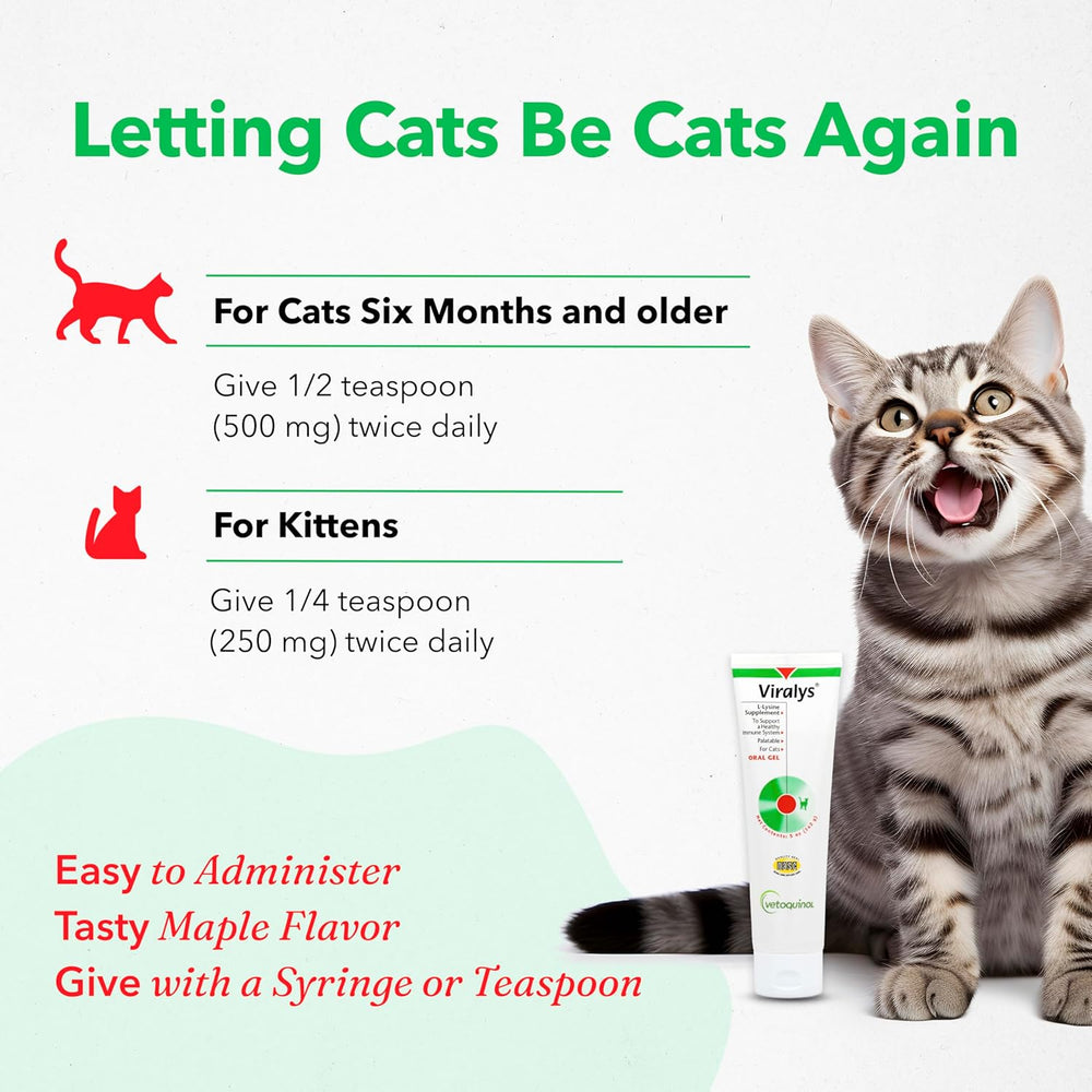 Vetoquinol Viralys Daily L-Lysine Gel for Cats and Kittens 142Gr. 2 Pack