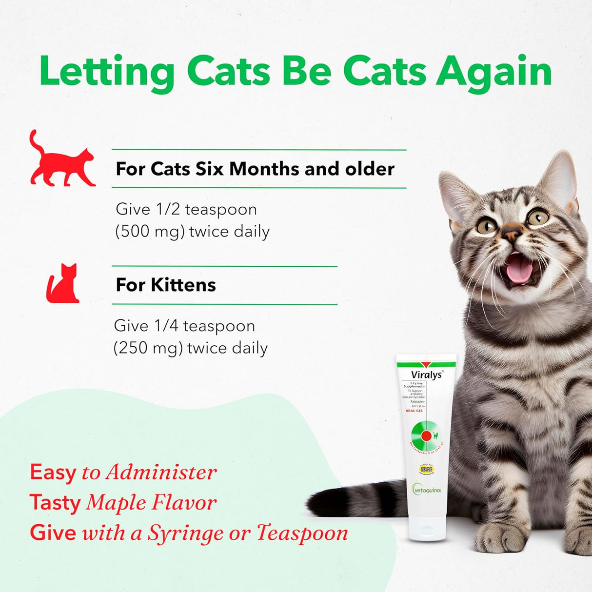 Vetoquinol Viralys Daily L-Lysine Gel for Cats and Kittens 142Gr. 2 Pack