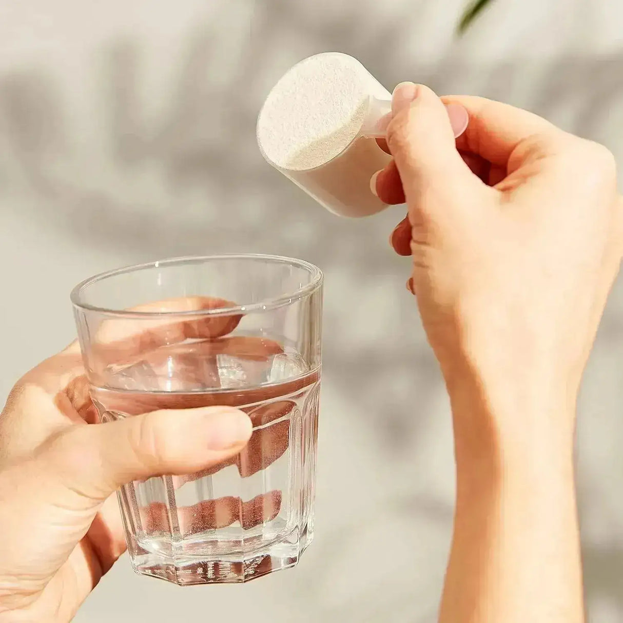 SOLGAR - Solgar Grass Fed Whey to Go Protein Powder Vanilla 338Gr. - The Red Vitamin MX - Suplementos Alimenticios - {{ shop.shopifyCountryName }}