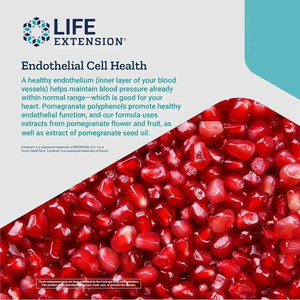 LIFE EXTENSION - Life Extension Endothelial Defense Pomegranate Plus 60 Capsulas Blandas - The Red Vitamin MX - Suplementos Alimenticios - {{ shop.shopifyCountryName }}