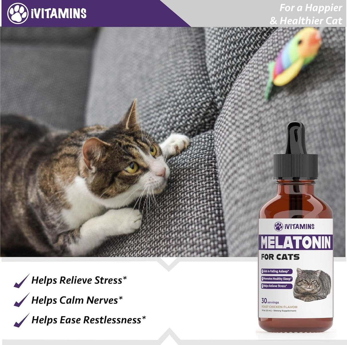 iVitamins Melatonin for Cats 1 Fl.Oz.