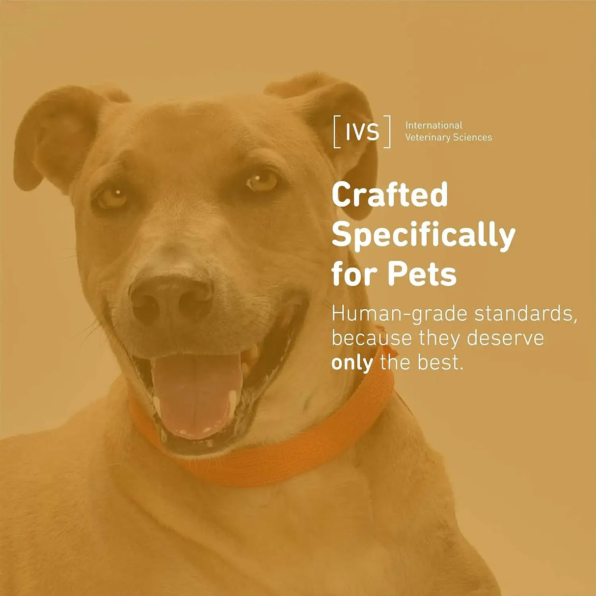 IVS - IVS New International Veterinary Sciences Lipiderm Skin and Coat Fish Oil Omega 3 and 6 Dietary Supplement Dogs 90 Masticables - The Red Vitamin MX - Aceite De Pescado Para Perros - {{ shop.shopifyCountryName }}