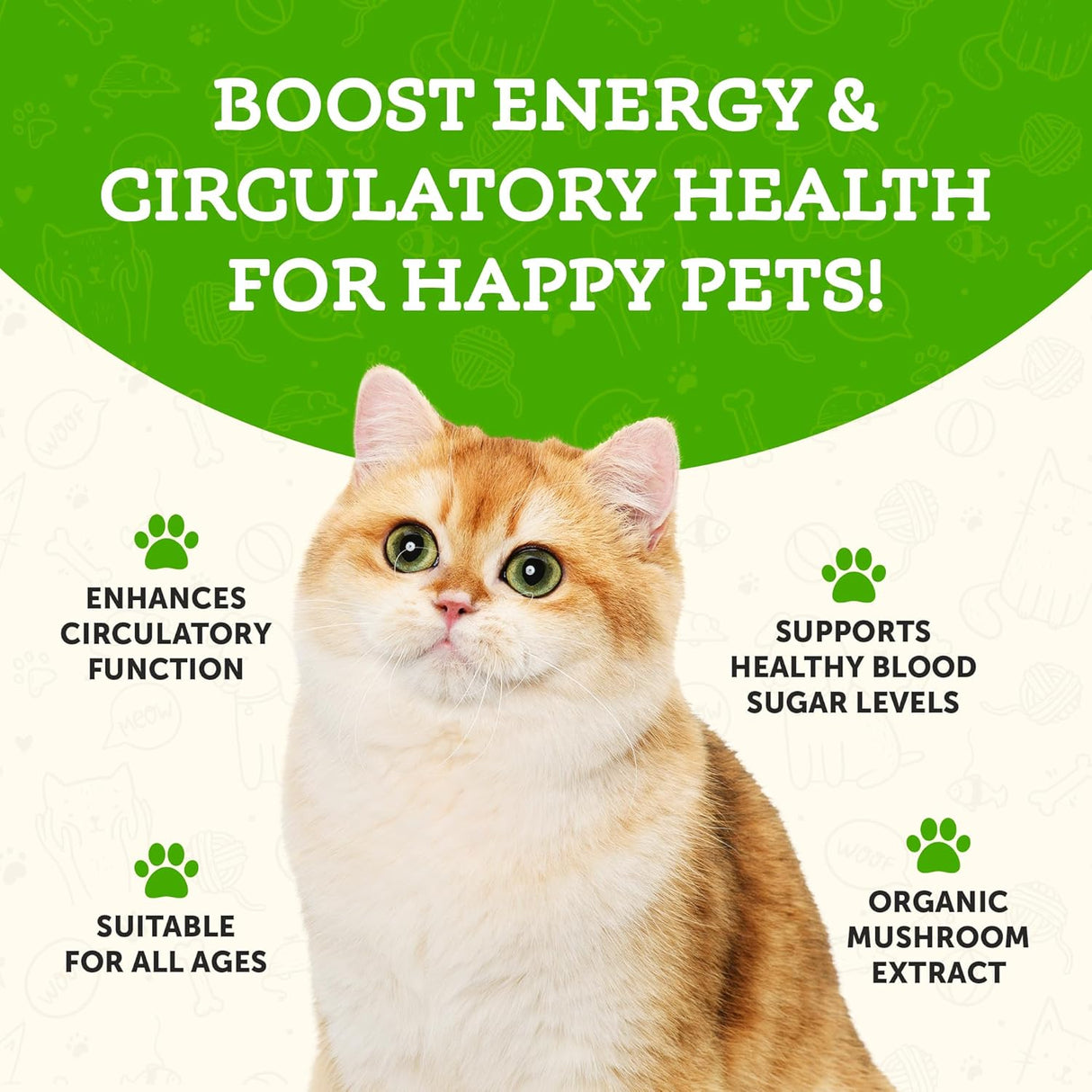 ANIMAL ESSENTIALS - Animal Essentials Wellness Maitake Mushroom 80Gr. - The Red Vitamin MX - Suplementos Herbales Para Perros - {{ shop.shopifyCountryName }}