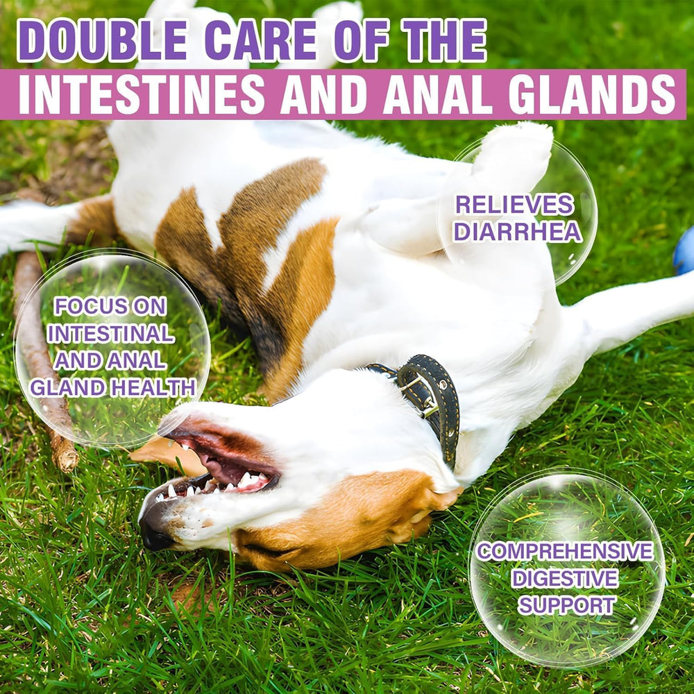 TTIXRL Dog Anal Gland Soft Chews Chicken Flavor 150 Masticables