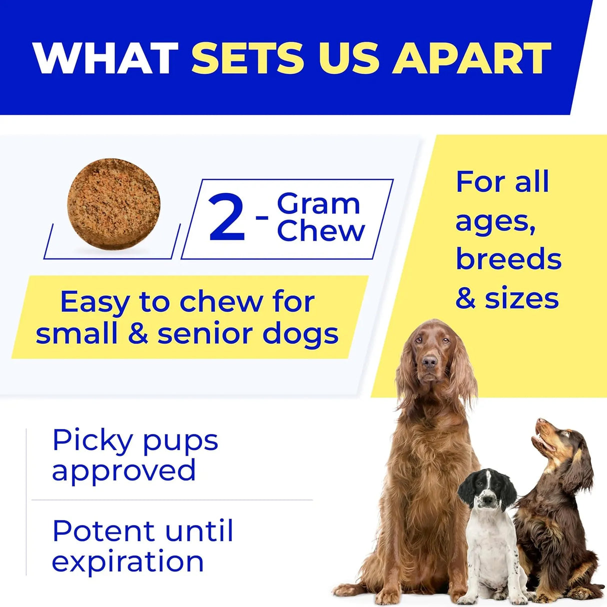 PAWFECT - PAWFECT Pet Probiotics for Dogs & Digestive Enzymes 120 Masticables 2 Pack - The Red Vitamin MX - Probióticos Para Perros - {{ shop.shopifyCountryName }}