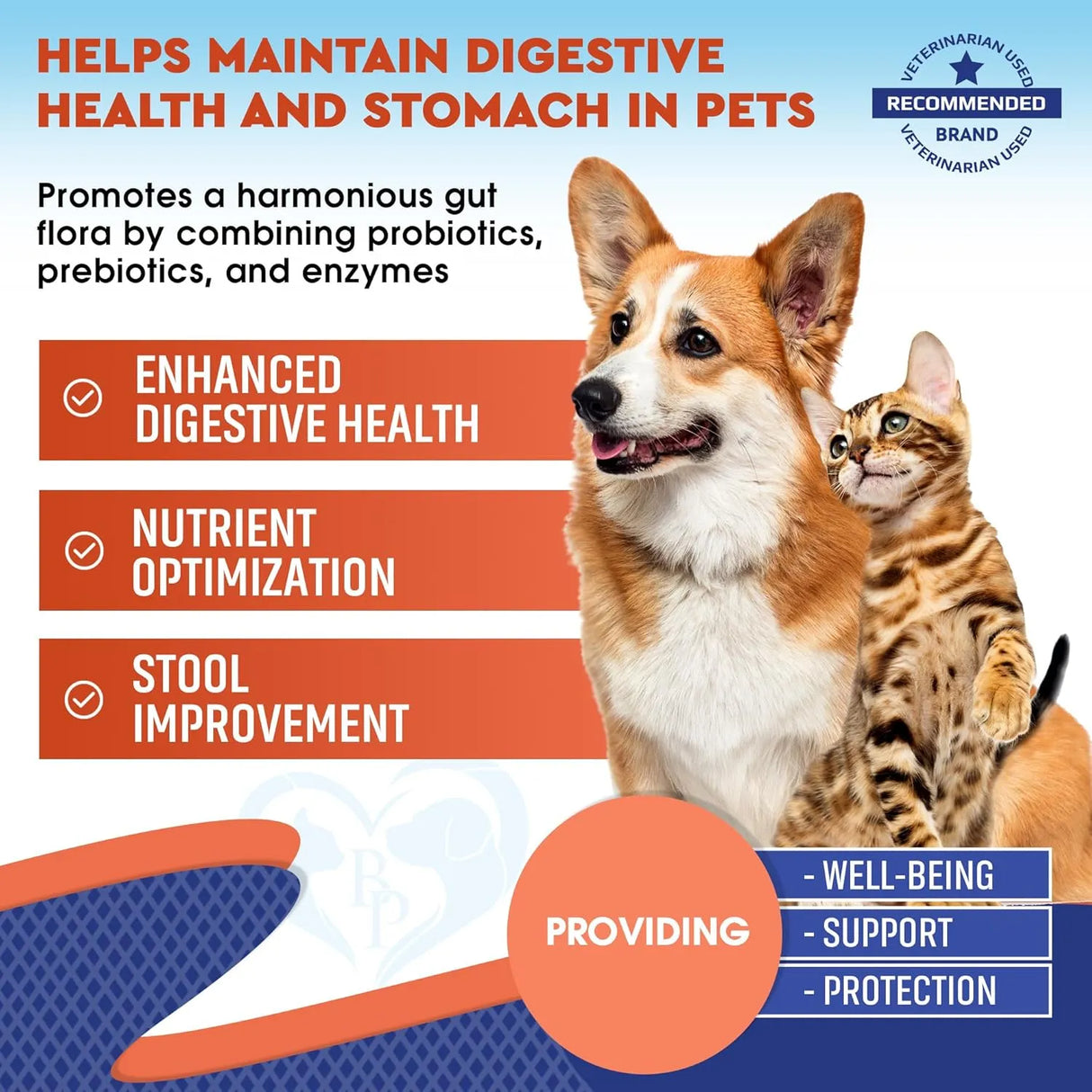 BELOVED PETS - Beloved Pets Probiotics & Prebiotics with Enzymes for Dogs and Cats 2 Fl.Oz. - The Red Vitamin MX - Probióticos Para Perros - {{ shop.shopifyCountryName }}