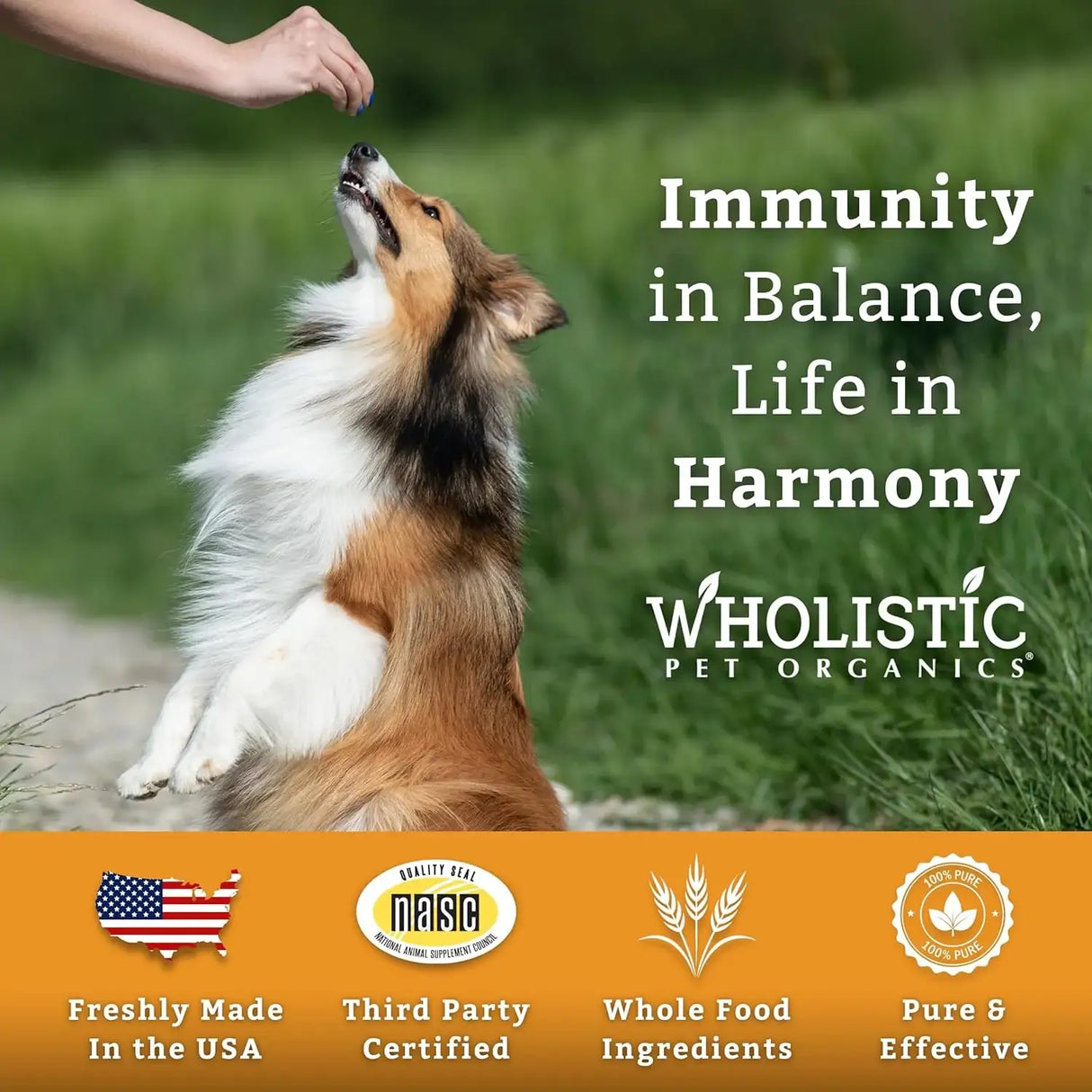 WHOLISTIC PET ORGANICS - Wholistic Pet Organics Pure Colostrum Dog Allergy Relief & Itchy Skin Treatment 28.3Gr. - The Red Vitamin MX - Remedios Para La Picazón De Perros - {{ shop.shopifyCountryName }}