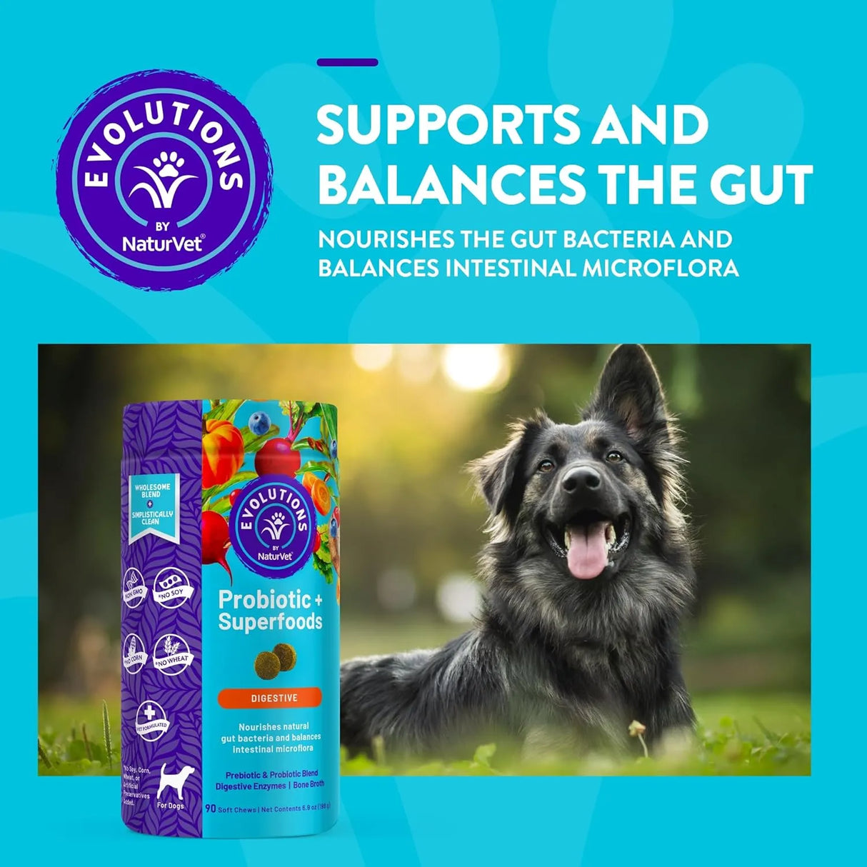 NATURVET - NaturVet Evolutions Probiotic & Superfoods 90 Masticables - The Red Vitamin MX - Probióticos Para Perros - {{ shop.shopifyCountryName }}