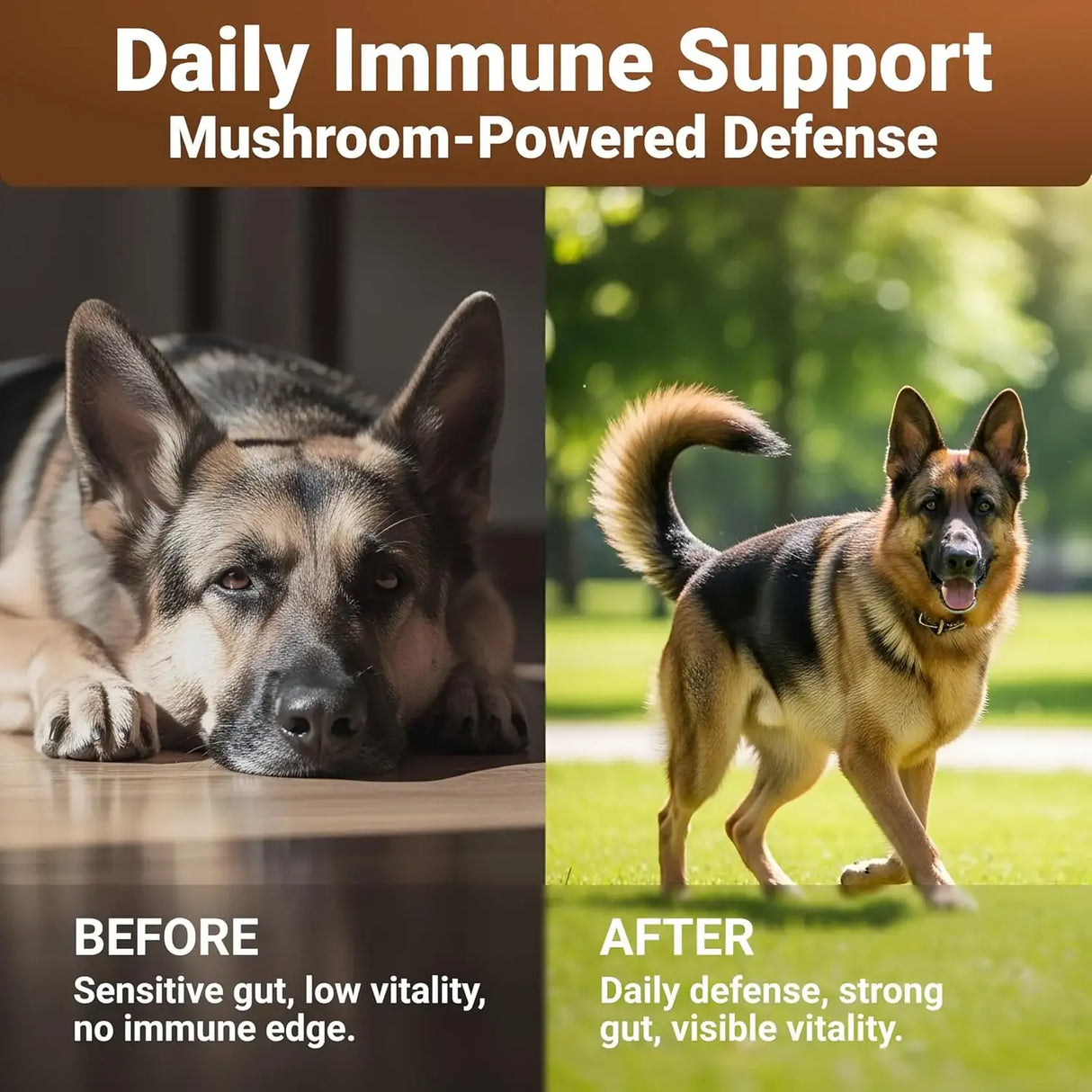 WUFFWELL - WuffWell 12:1 Mushroom Supplement for Dogs 140 Masticables - The Red Vitamin MX - Suplementos Herbales Para Perros - {{ shop.shopifyCountryName }}