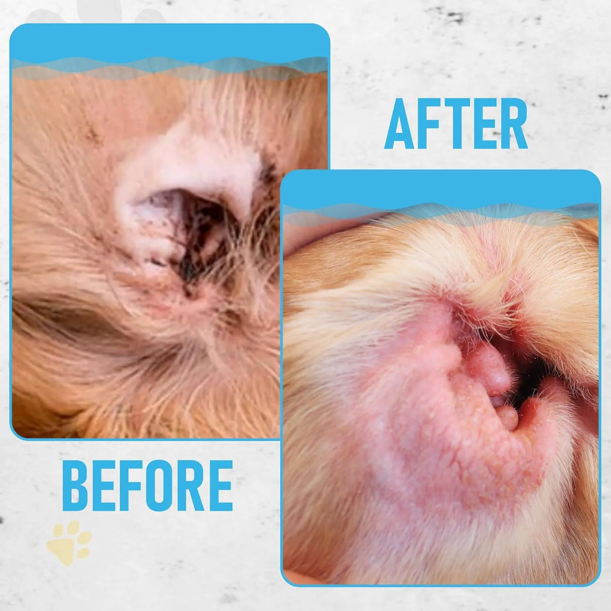 PETAZY - Petazy Dog Ear Wipes Unscented 125 Toallitas - The Red Vitamin MX - Cuidado Del Oído De Perros - {{ shop.shopifyCountryName }}