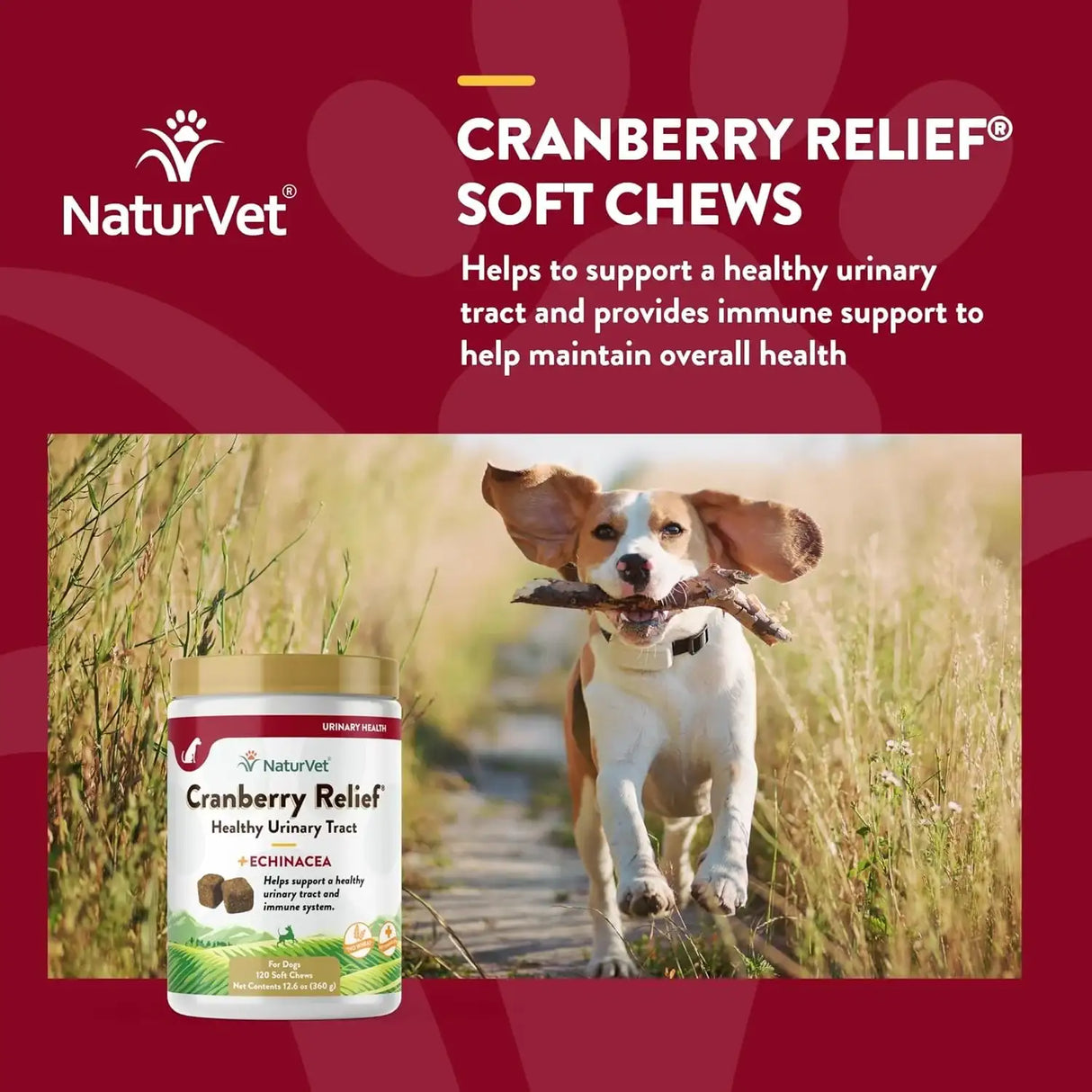 NATURVET - NaturVet Cranberry Relief Plus Echinacea 120 Masticables - The Red Vitamin MX - Salud De Tracto Urinario Para Perros - {{ shop.shopifyCountryName }}