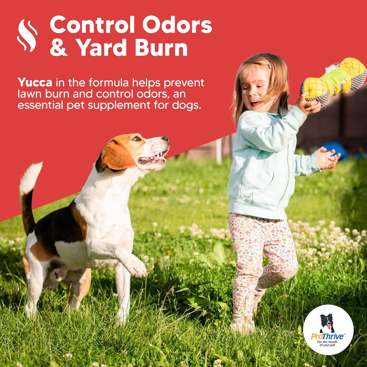 Equerry's Spunky Level II Hip and Joint Supplement for Dogs 453Gr.