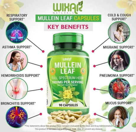 WIXAR NATURALS - WIXAR NATURALS Mullein Leaf 1000Mg. 90 Capsulas - The Red Vitamin MX - Suplementos Alimenticios - {{ shop.shopifyCountryName }}