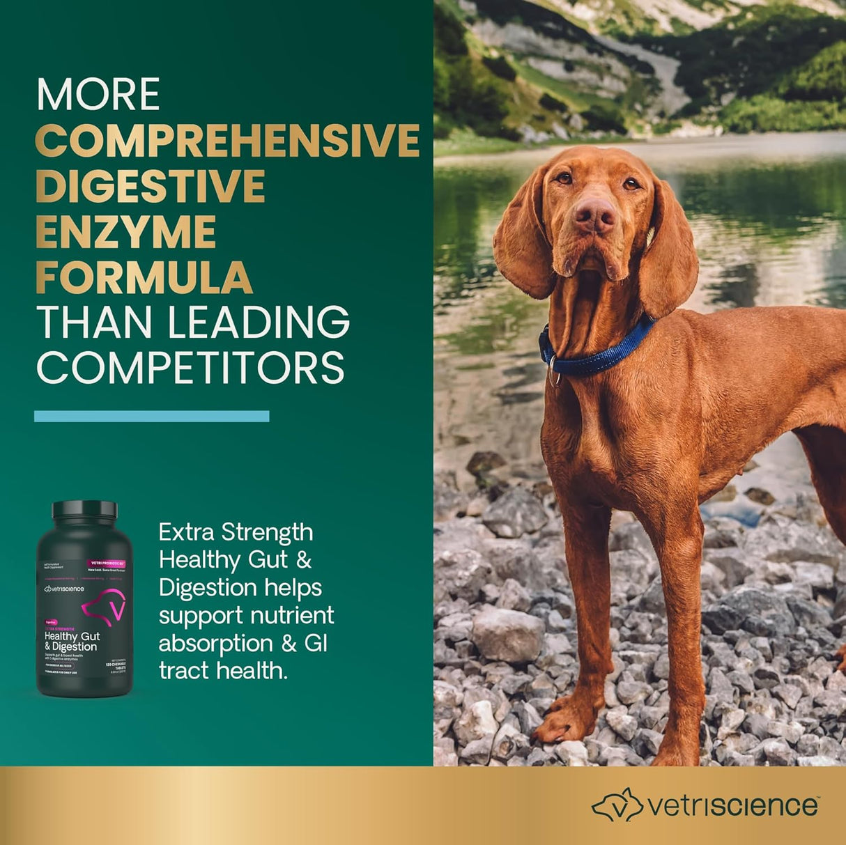 VetriScience Extra Strength Healthy Gut & Digestion 120 Tabletas Masticables