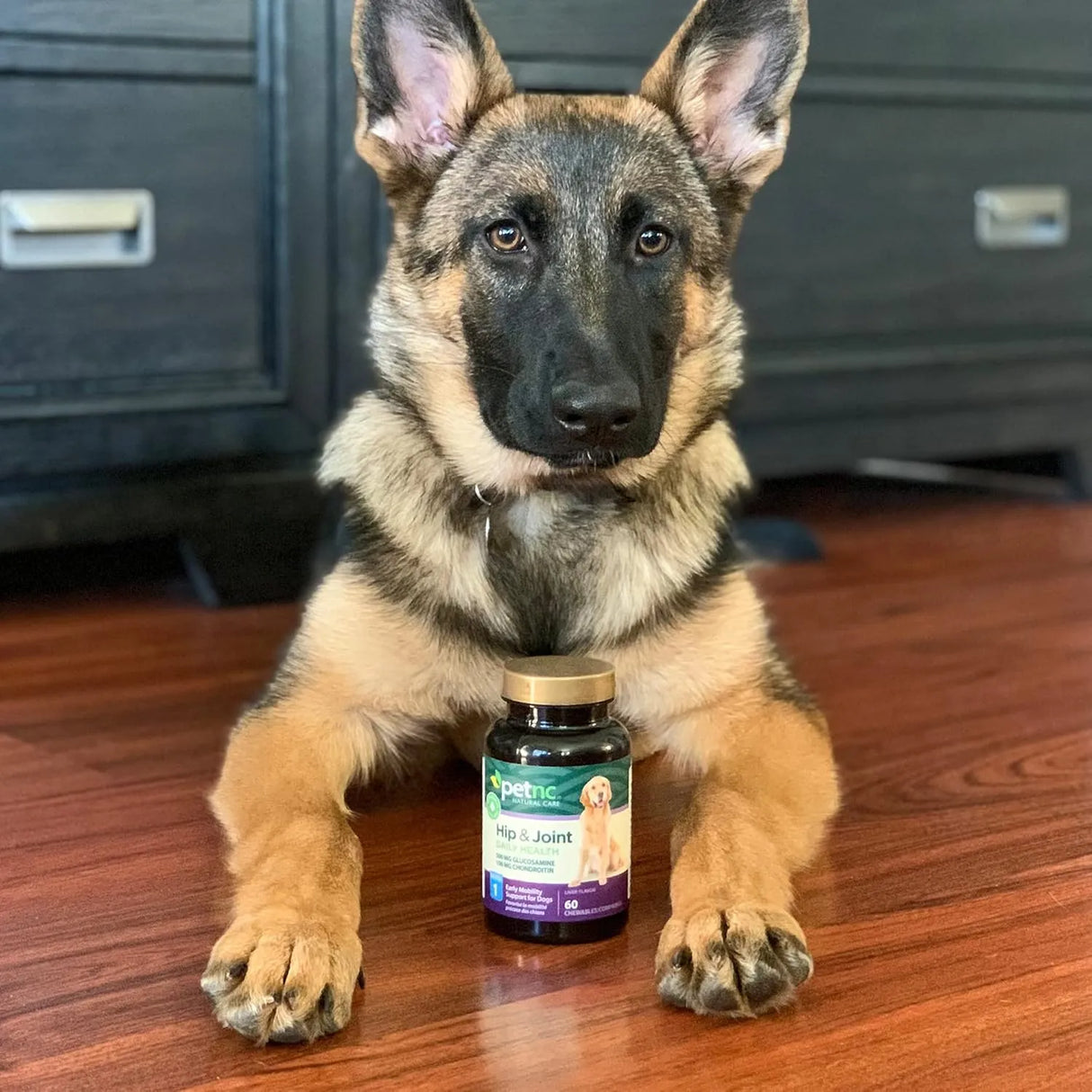 PETNC - Petnc Natural Care Hip and Joint Health Early Mobility Chewables for Dogs 60 Masticables - The Red Vitamin MX - Cuidado De Cadera Y Articulaciones Para Perros - {{ shop.shopifyCountryName }}