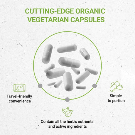 SECRETS OF THE TRIBE - Secrets of the Tribe Cacao 1000Mg. 120 Capsulas - The Red Vitamin MX - Suplementos Alimenticios - {{ shop.shopifyCountryName }}