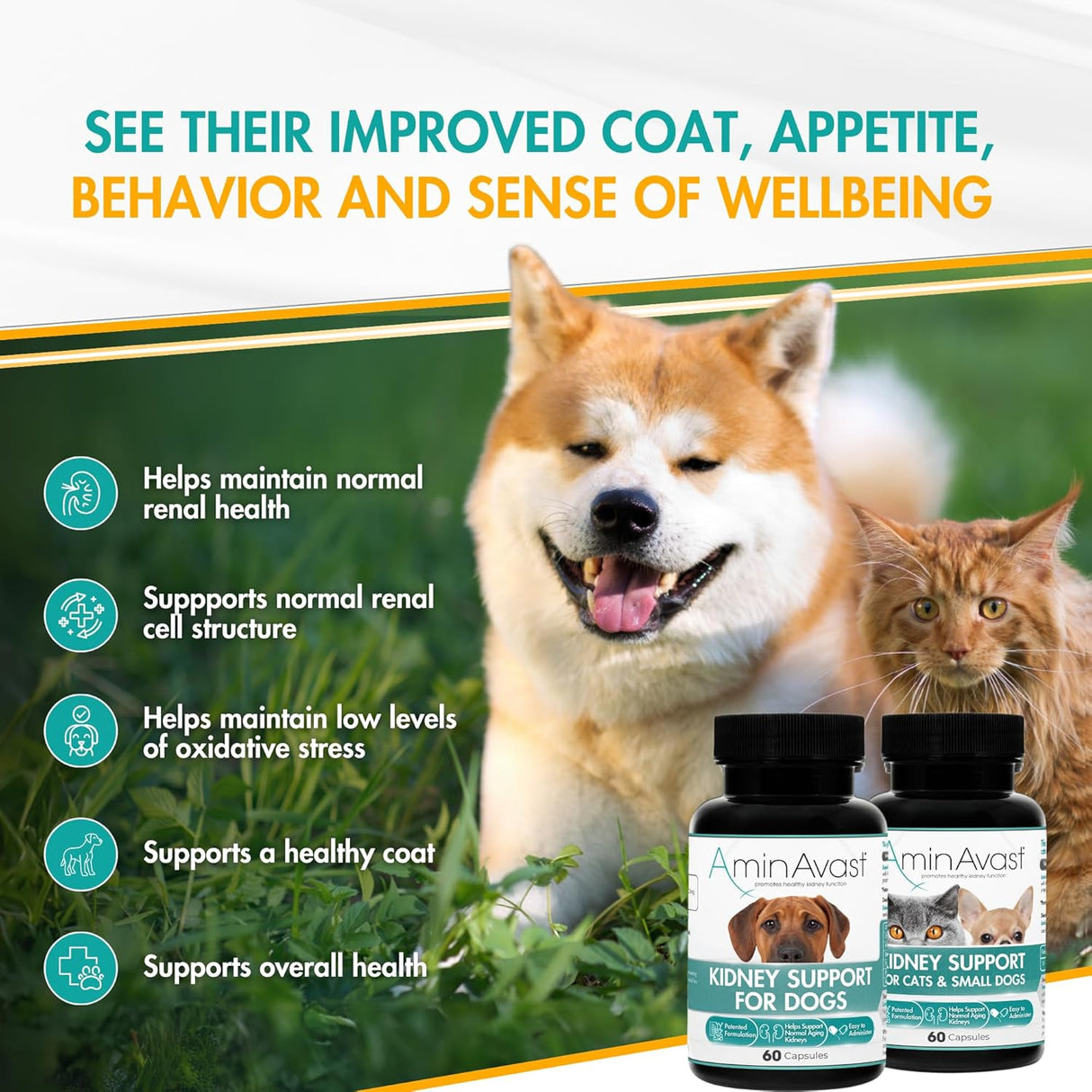 AminAvast Small Dogs & Cat Kidney Support 60 Capsulas