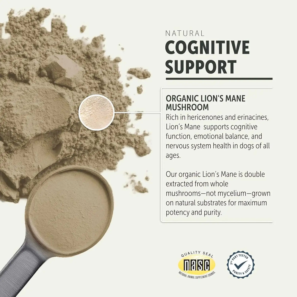 FOUR LEAF ROVER - FOUR LEAF ROVER Lion's Mane Mushrooms for Dogs 35Gr. - The Red Vitamin MX - Suplementos Herbales Para Perros - {{ shop.shopifyCountryName }}