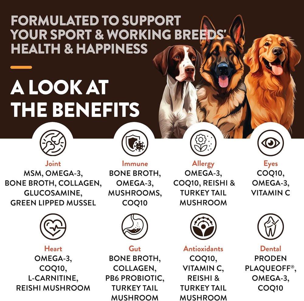 NATURVET - NaturVet Sport Breed Supplement 50 Masticables - The Red Vitamin MX - Suplementos Herbales Para Perros - {{ shop.shopifyCountryName }}