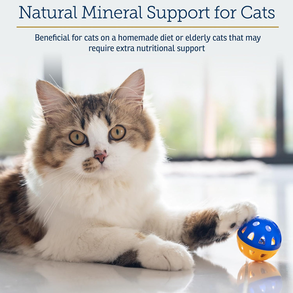 Rx Vitamins Feline Minerals 227Gr.