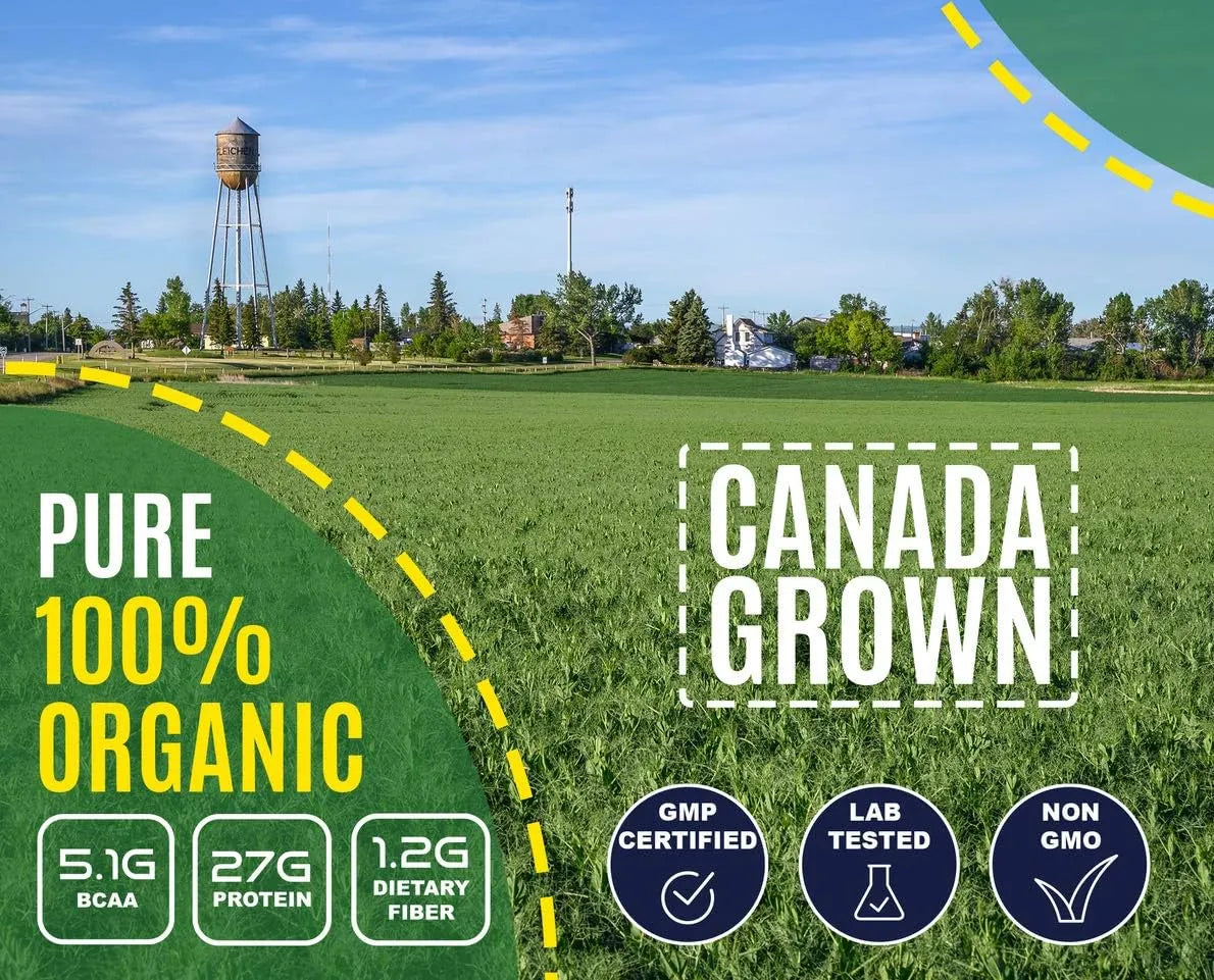 VUNNEX - VUNNEX Pea Protein Powder 1,190Gr. - The Red Vitamin MX - Suplementos Alimenticios - {{ shop.shopifyCountryName }}